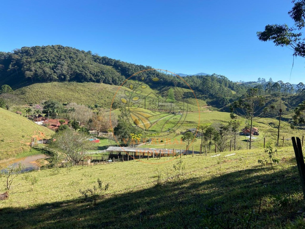Fazenda, 3 quartos - Foto 43