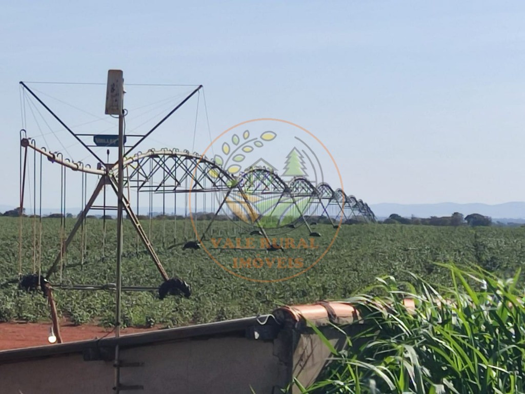 Fazenda - Foto 10