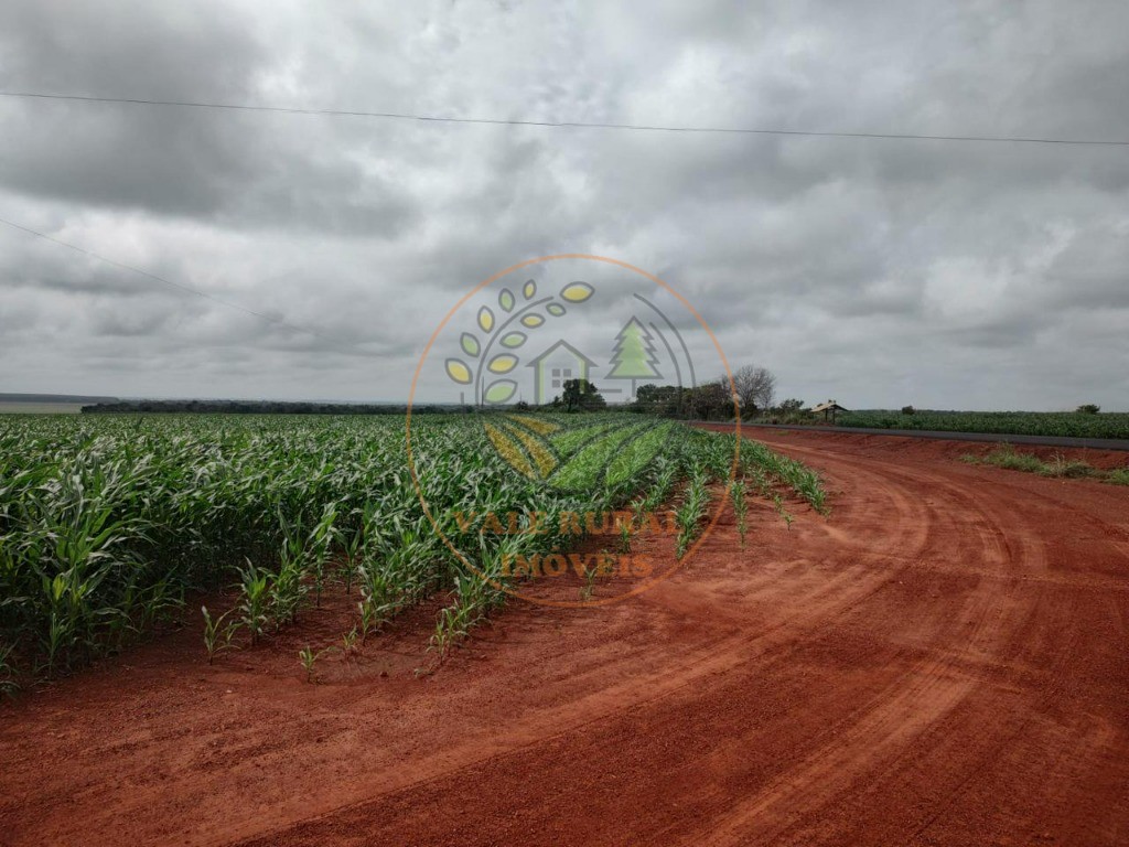 Fazenda - Foto 9