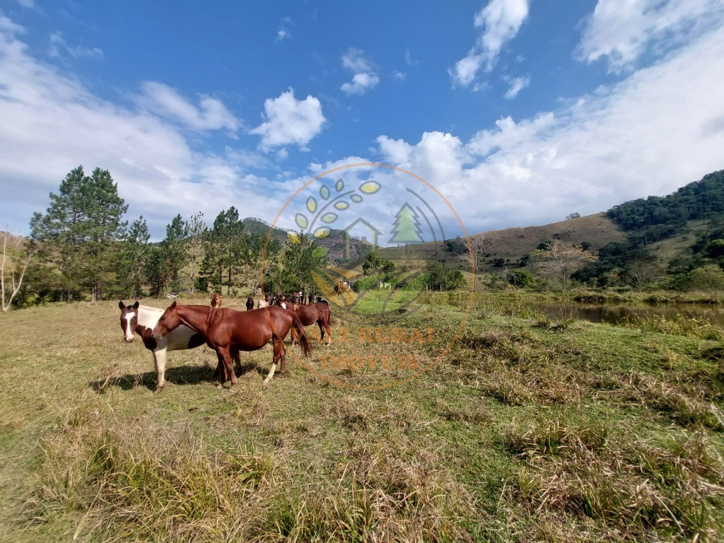 Fazenda, 2 quartos - Foto 37
