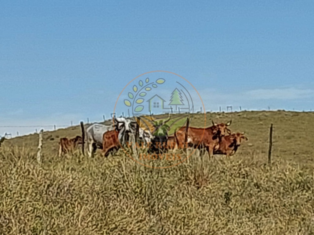 Fazenda, 2 quartos - Foto 6