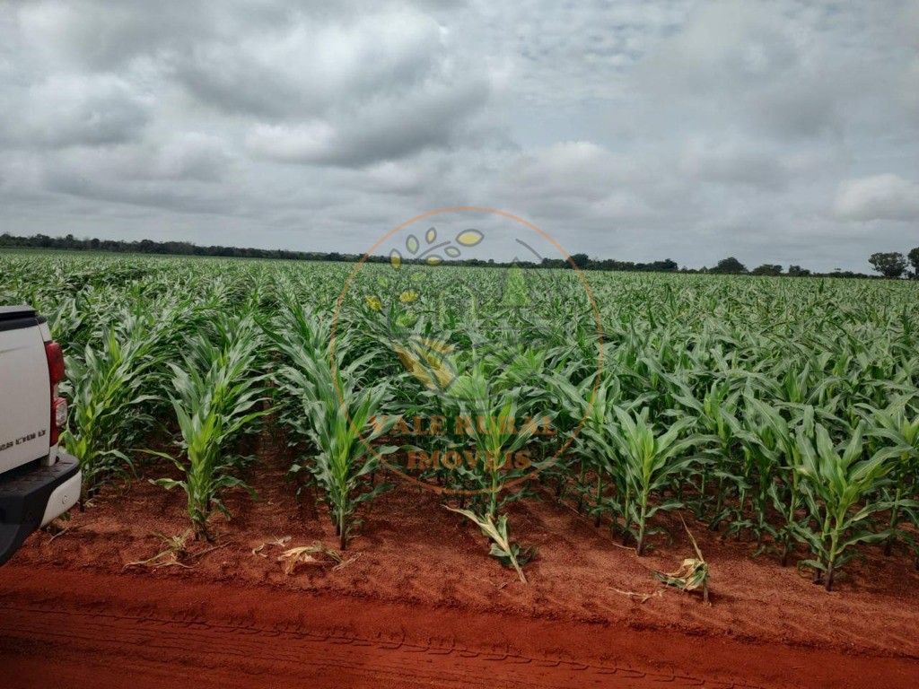 Fazenda - Foto 8