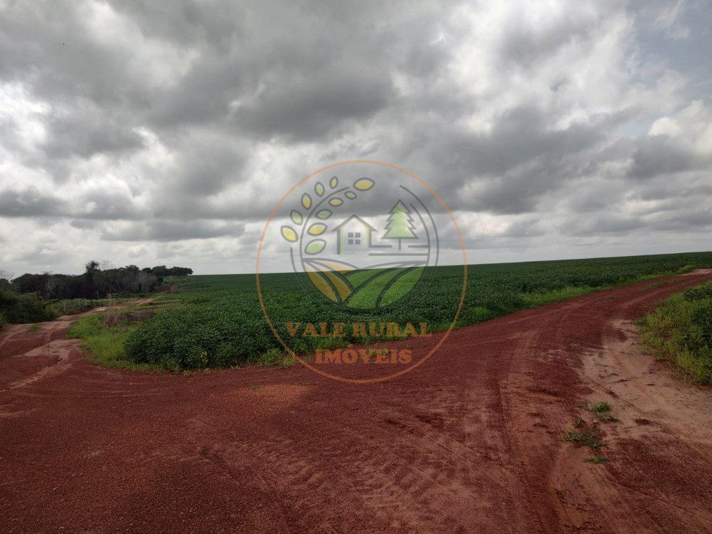 Fazenda - Foto 17