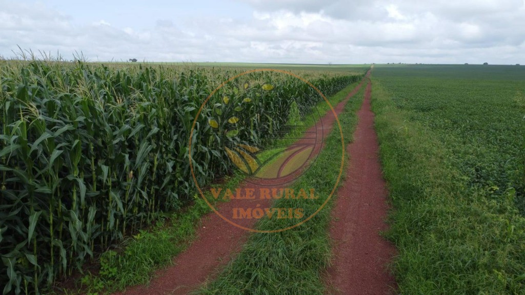 Fazenda - Foto 15