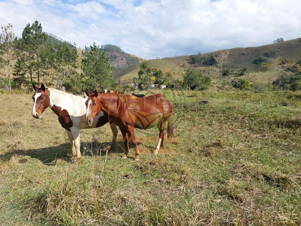 Fazenda, 2 quartos - Foto 43