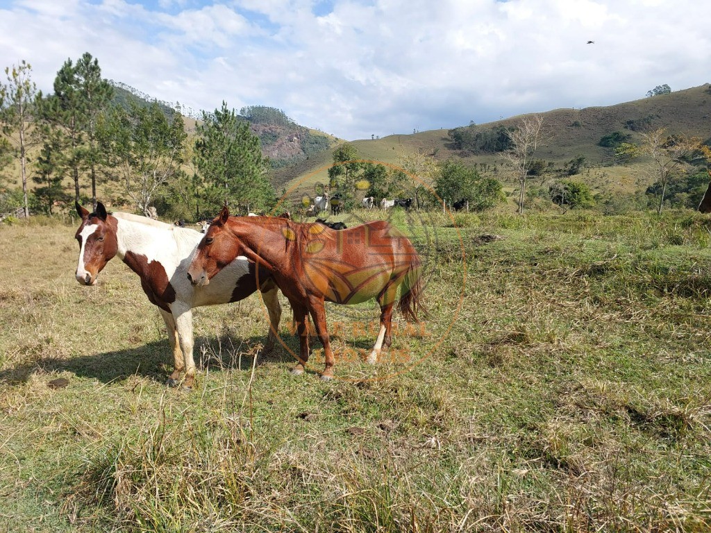 Fazenda, 2 quartos - Foto 40