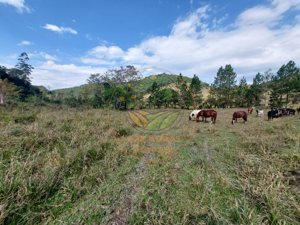 Fazenda, 2 quartos - Foto 34