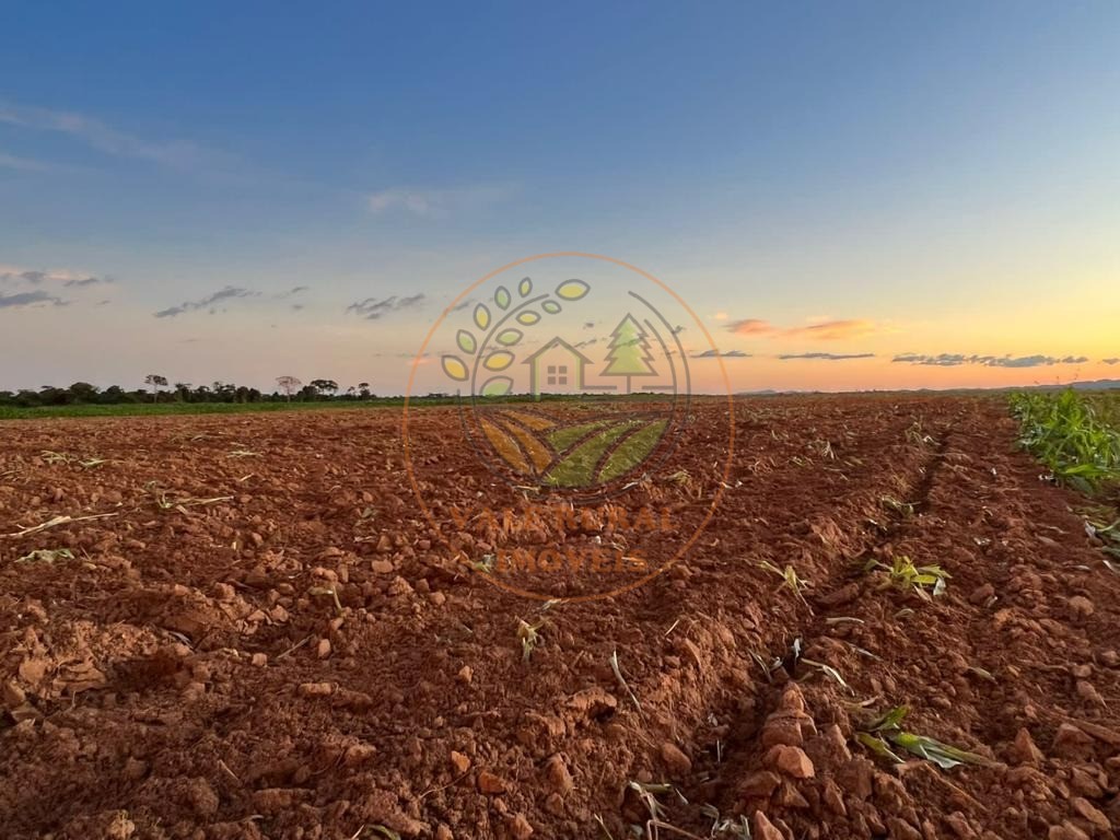 Fazenda - Foto 14