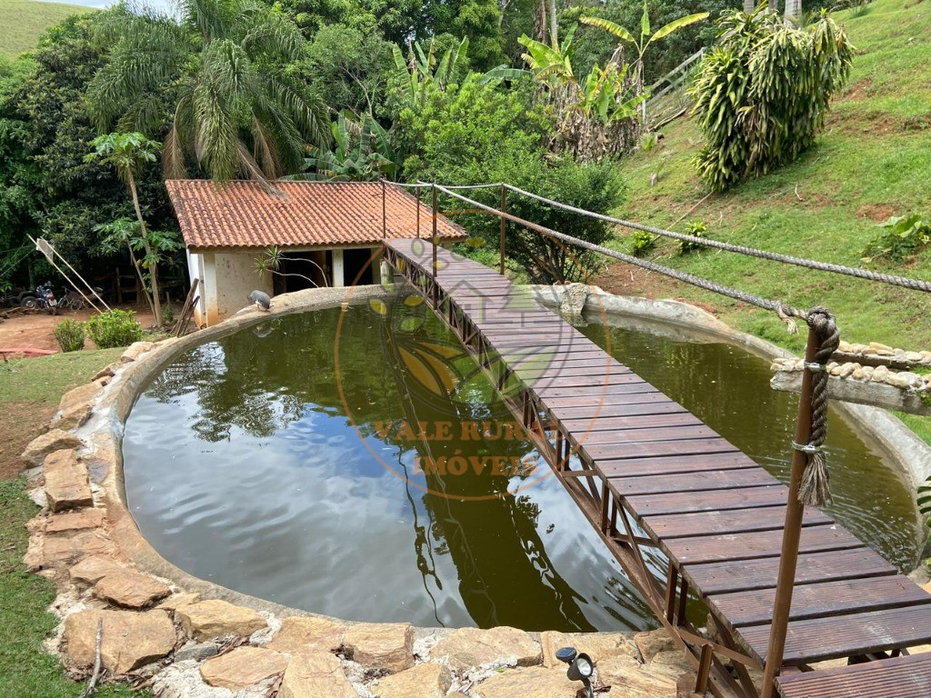 Chácara, 3 quartos - Foto 9
