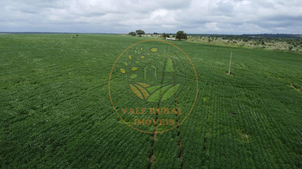 Fazenda - Foto 4