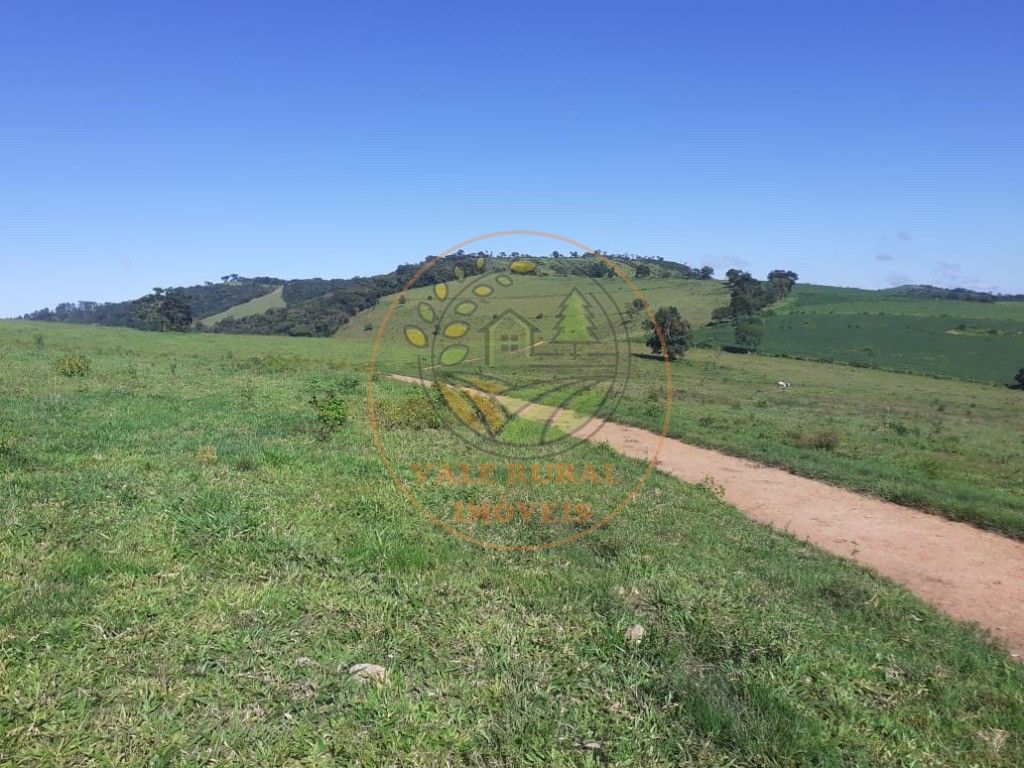 Fazenda - Foto 4