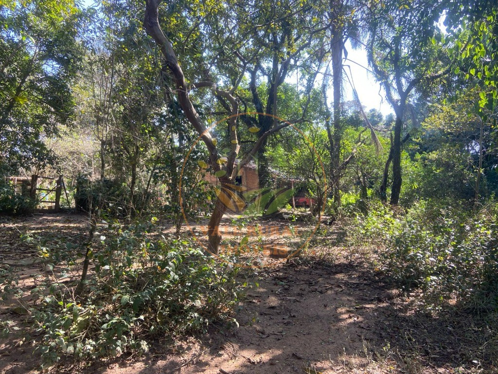 Chácara, 4 quartos - Foto 23