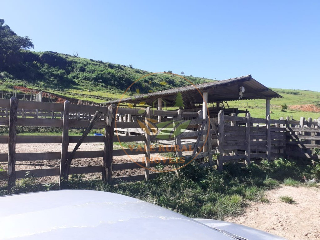 Fazenda - Foto 15
