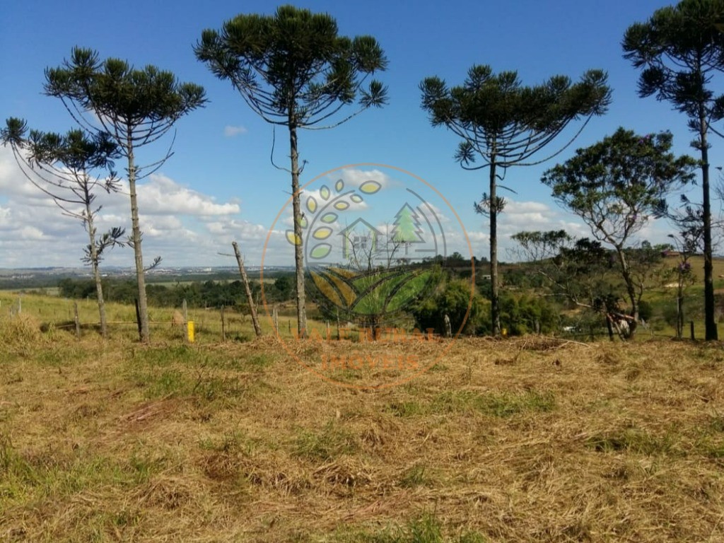 Fazenda - Foto 1