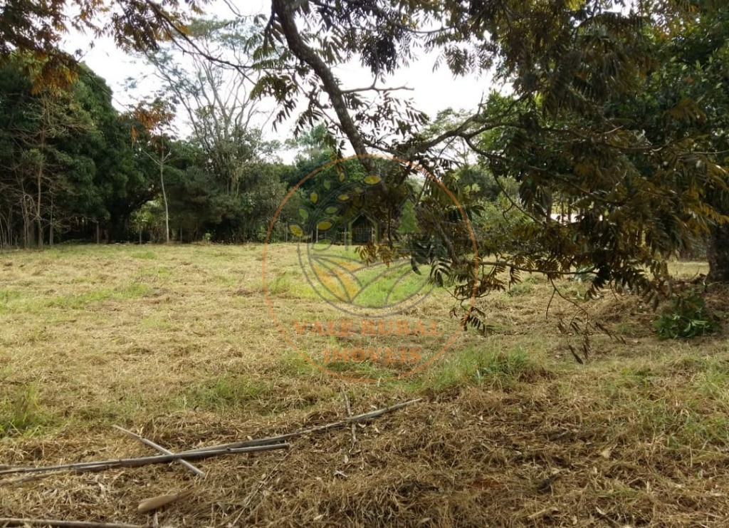 Fazenda - Foto 3