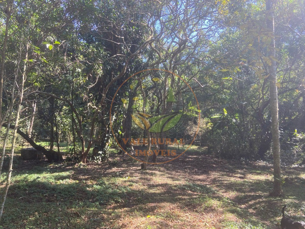 Chácara, 4 quartos - Foto 32