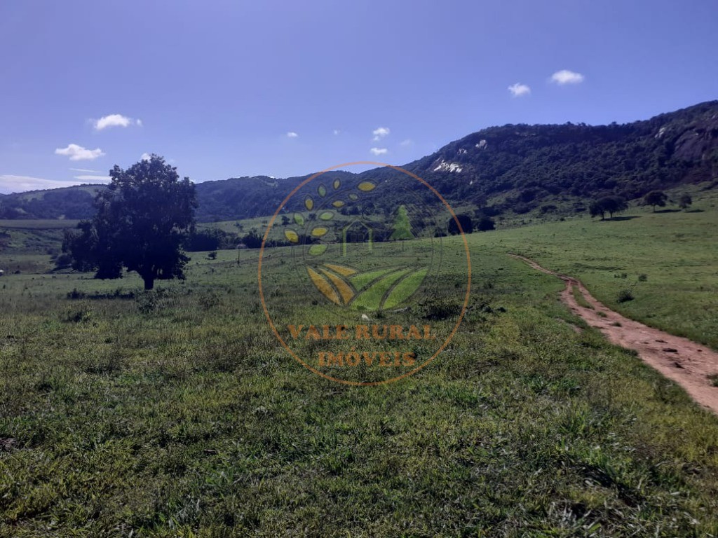 Fazenda - Foto 6