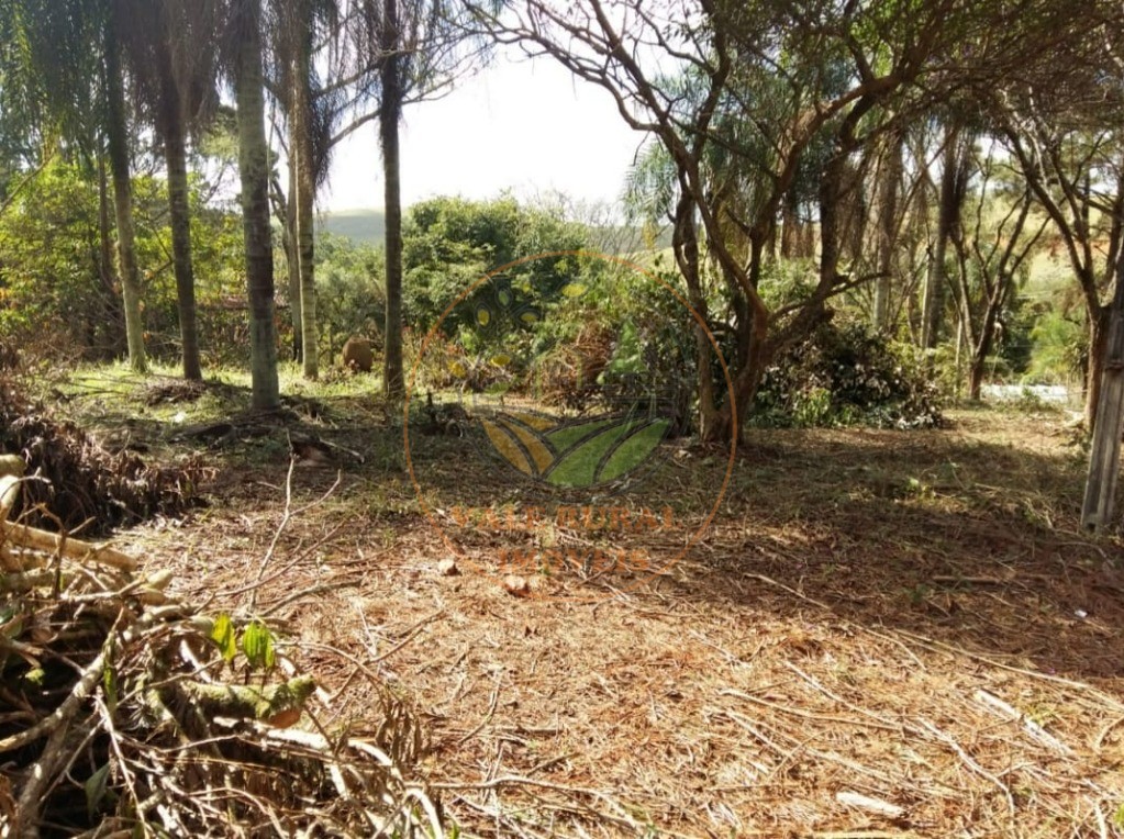 Fazenda - Foto 11
