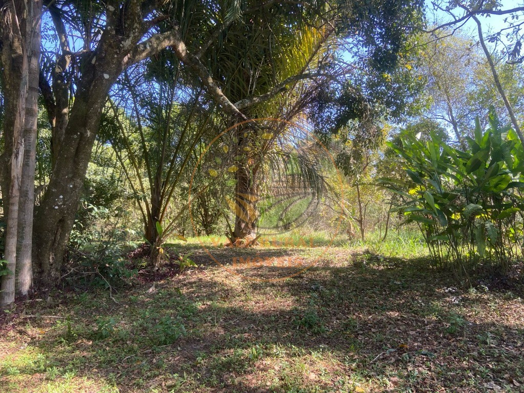 Chácara, 4 quartos - Foto 10
