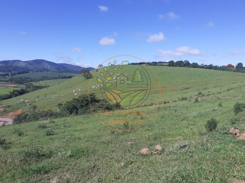 Fazenda - Foto 11