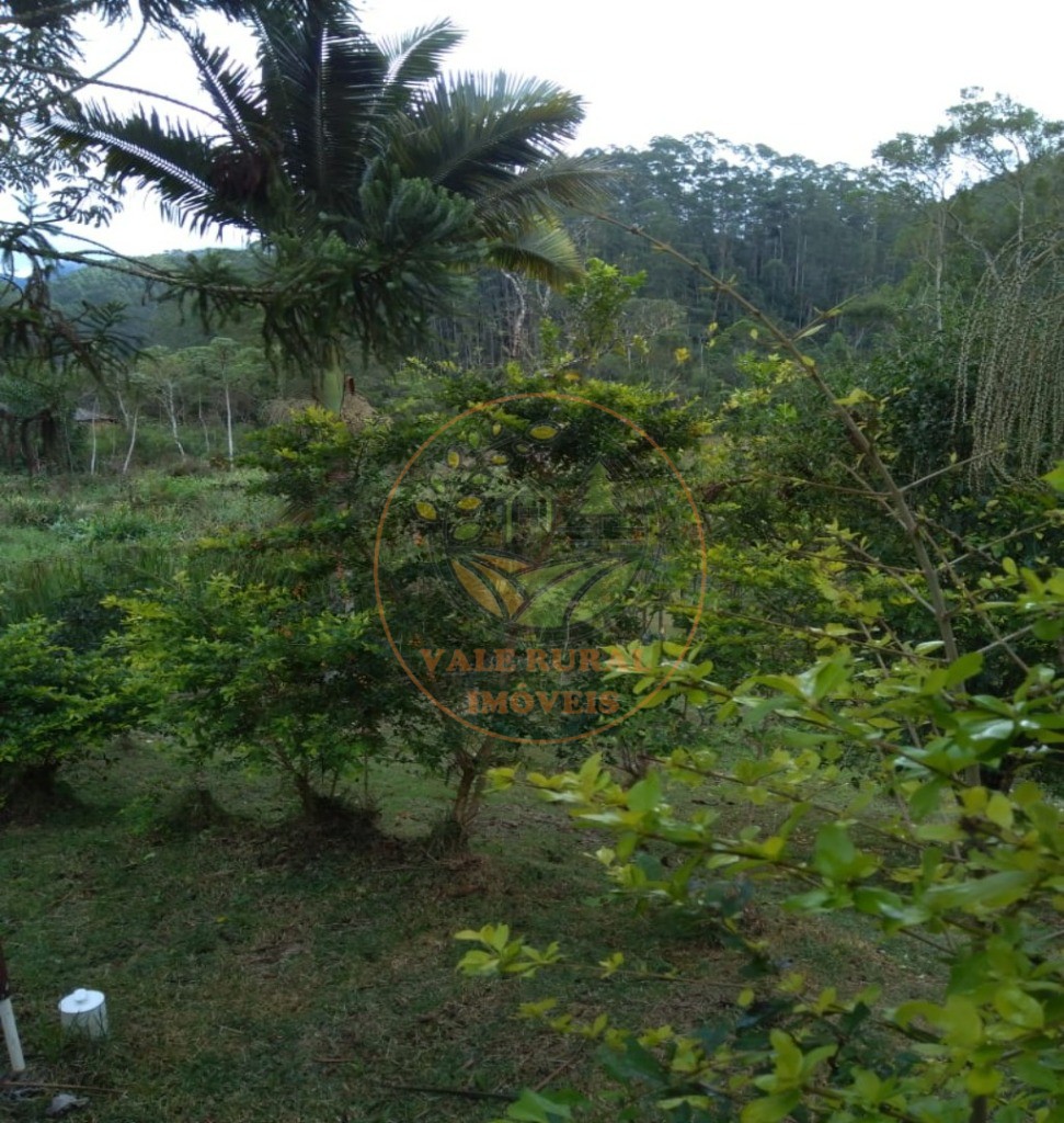 Chácara, 4 quartos, 3000 m² - Foto 12