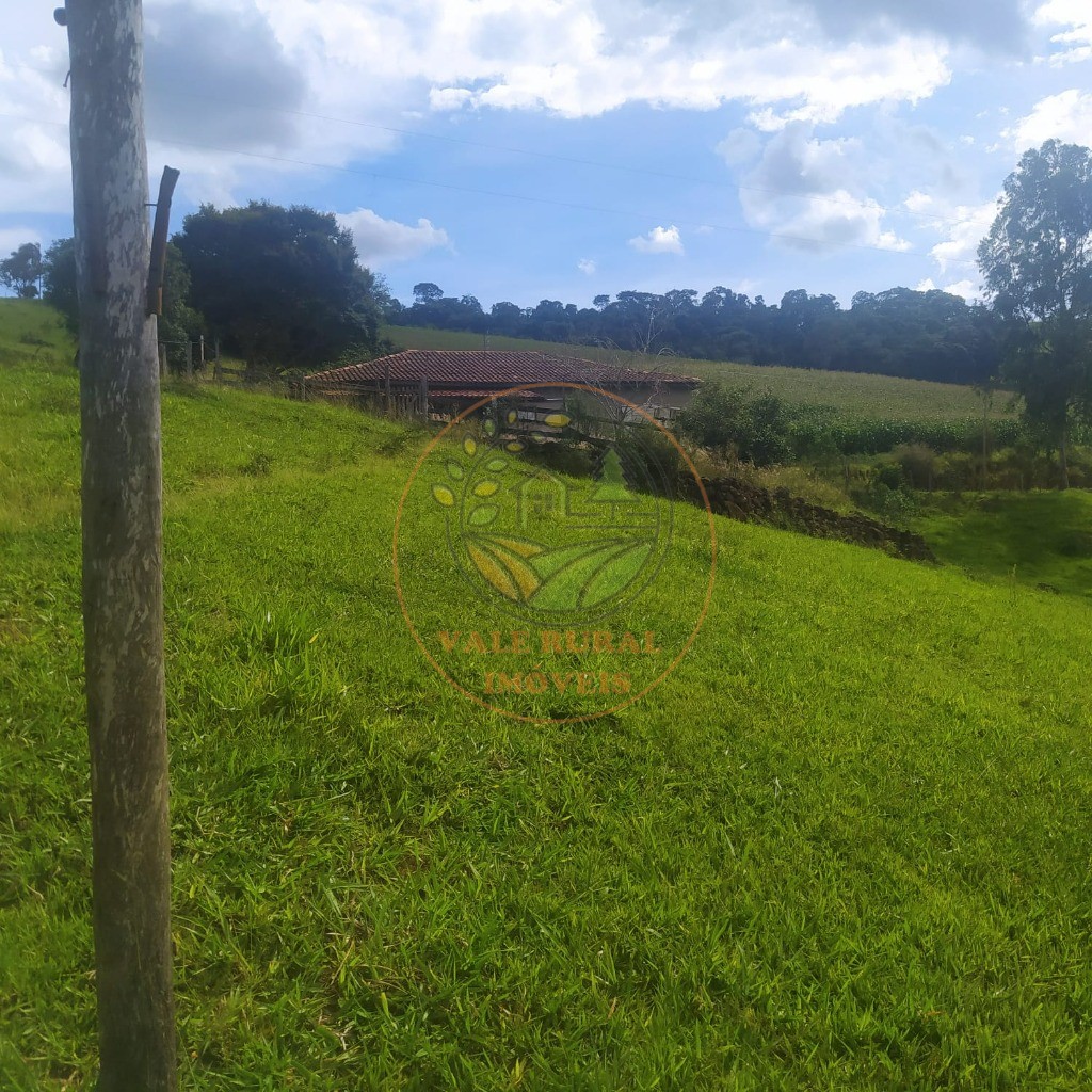 Sítio, 3 quartos, 23000 m² - Foto 26