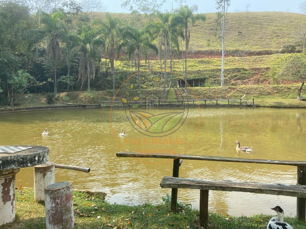 Sítio, 2 quartos, 43200 m² - Foto 12