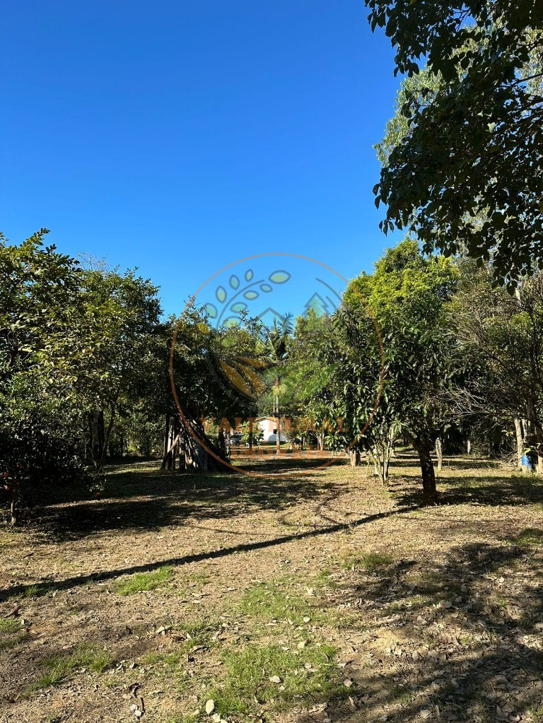 Chácara, 3 quartos, 5000 m² - Foto 8