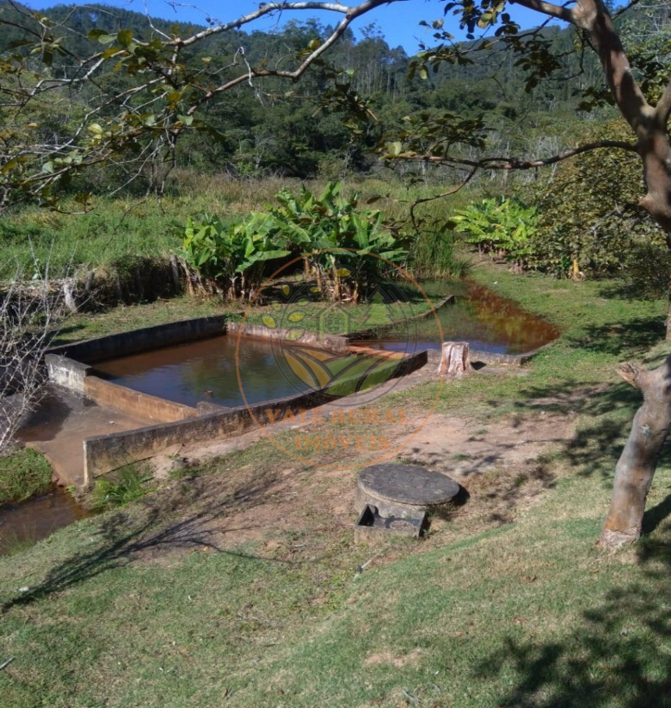 Chácara, 4 quartos, 3000 m² - Foto 8