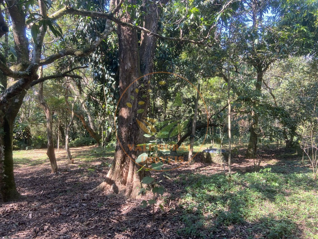 Chácara, 4 quartos - Foto 31