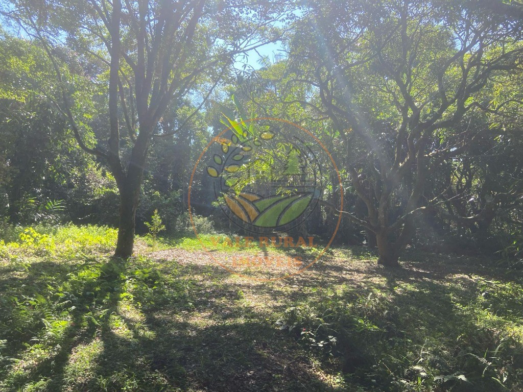 Chácara, 4 quartos - Foto 18
