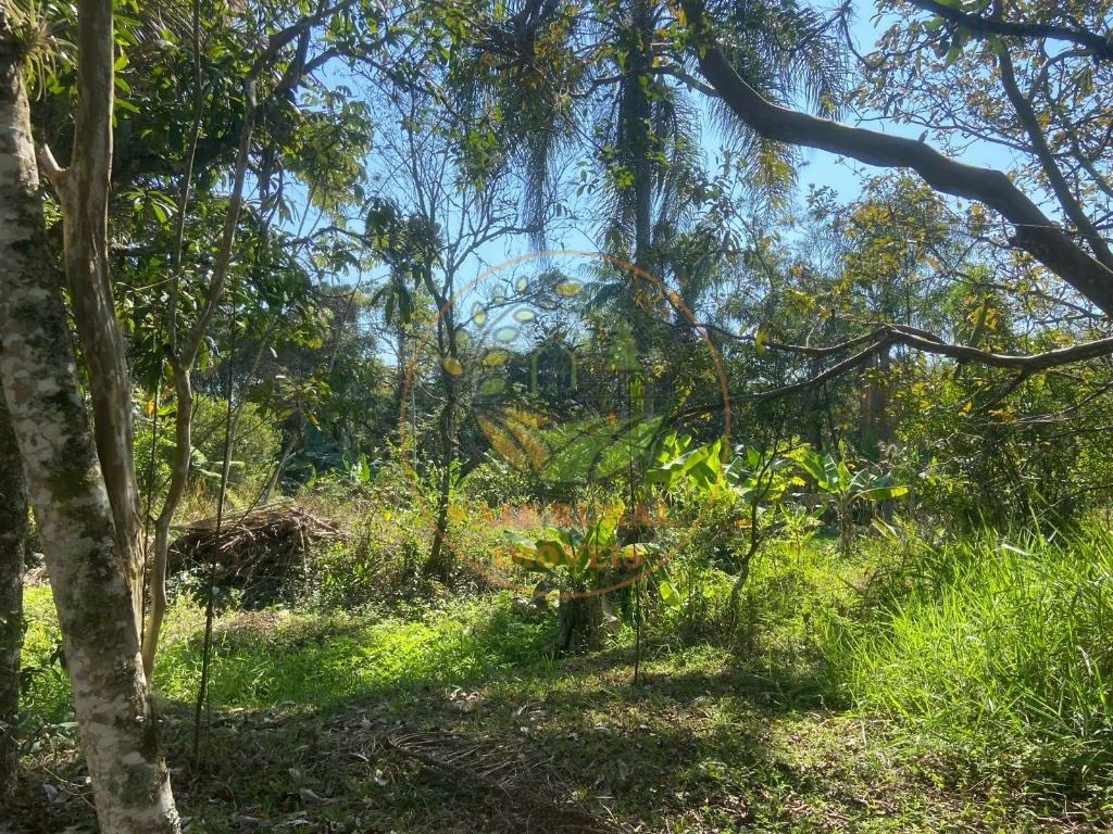Chácara, 4 quartos - Foto 36