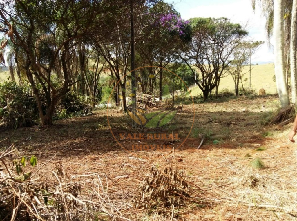 Fazenda - Foto 9