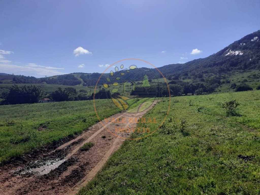 Fazenda - Foto 16