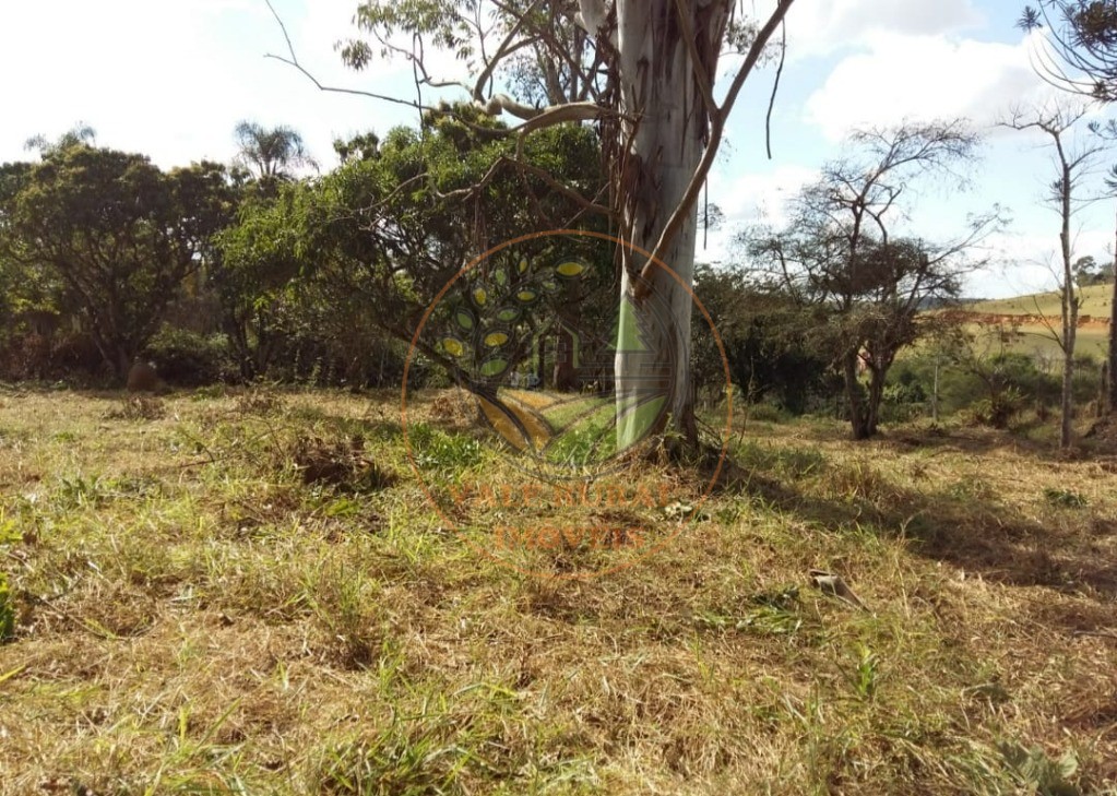 Fazenda - Foto 6