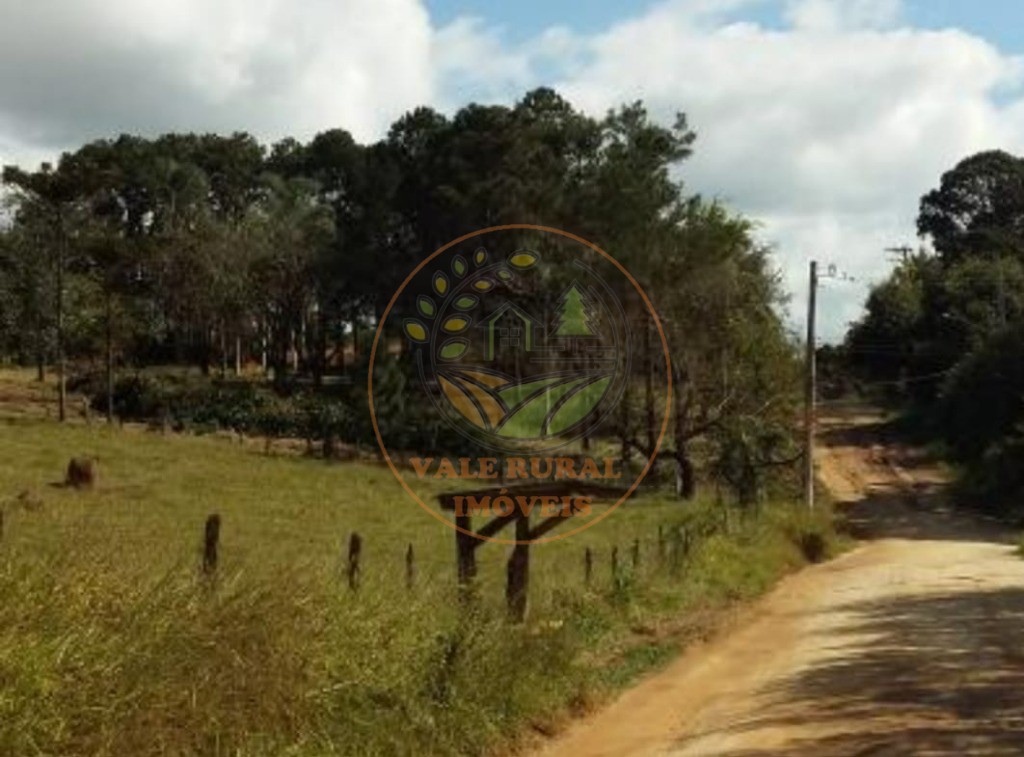 Fazenda - Foto 12