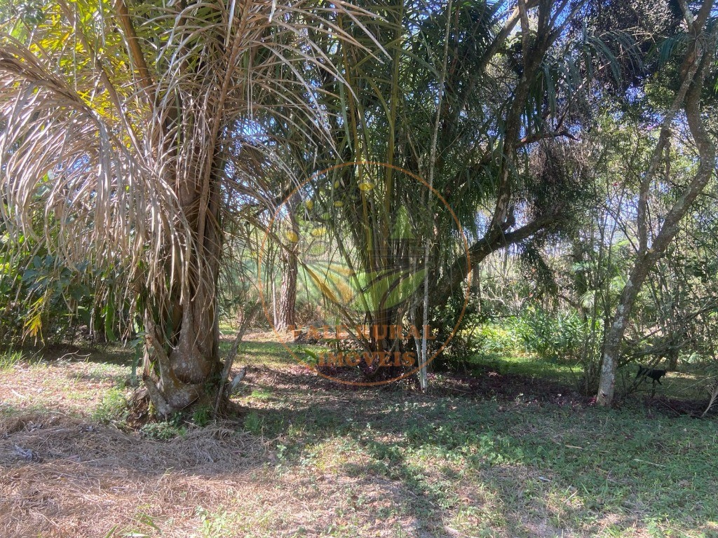 Chácara, 4 quartos - Foto 13