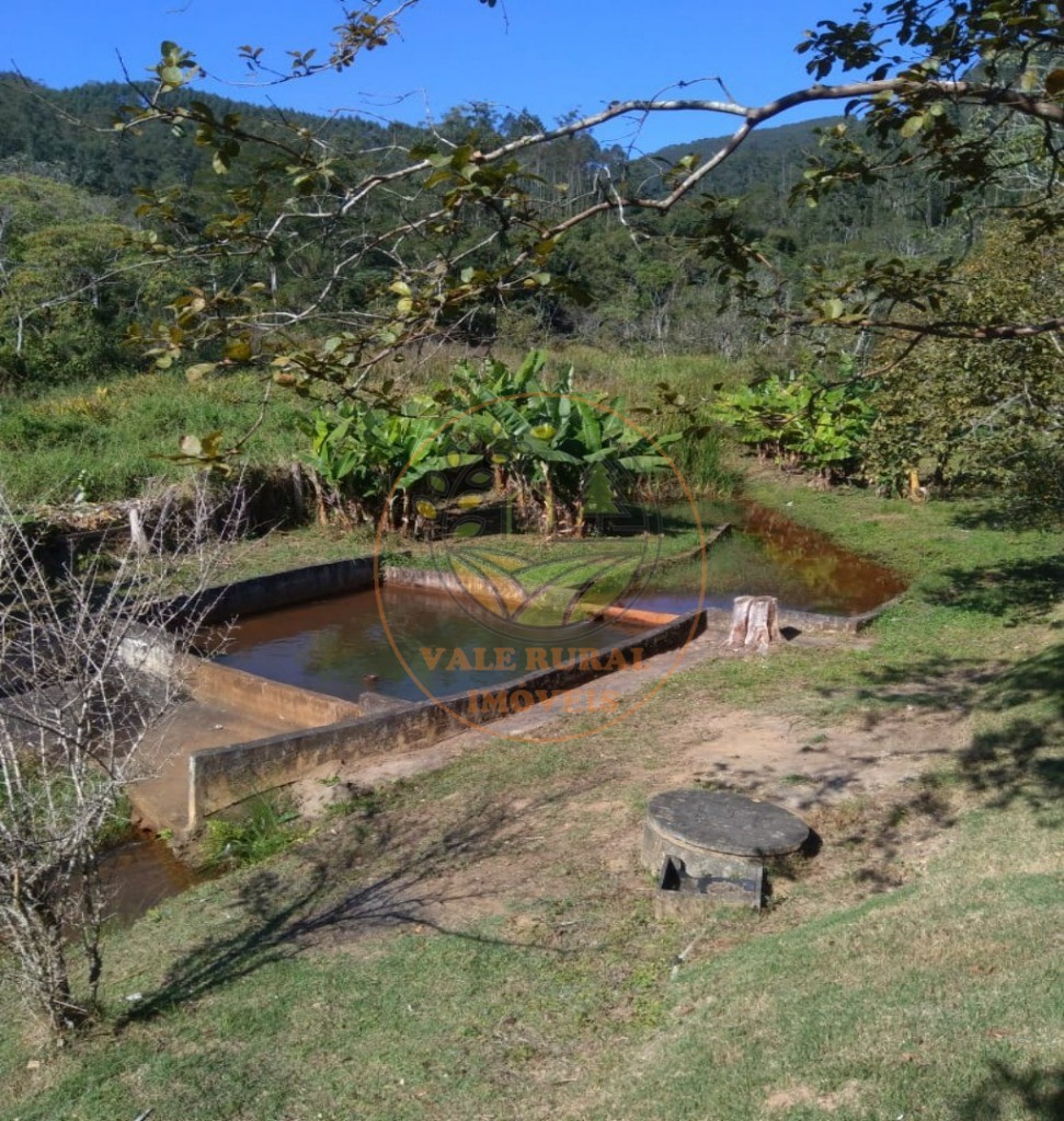 Chácara, 4 quartos, 3000 m² - Foto 7