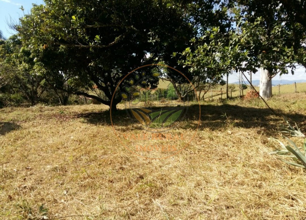 Fazenda - Foto 4