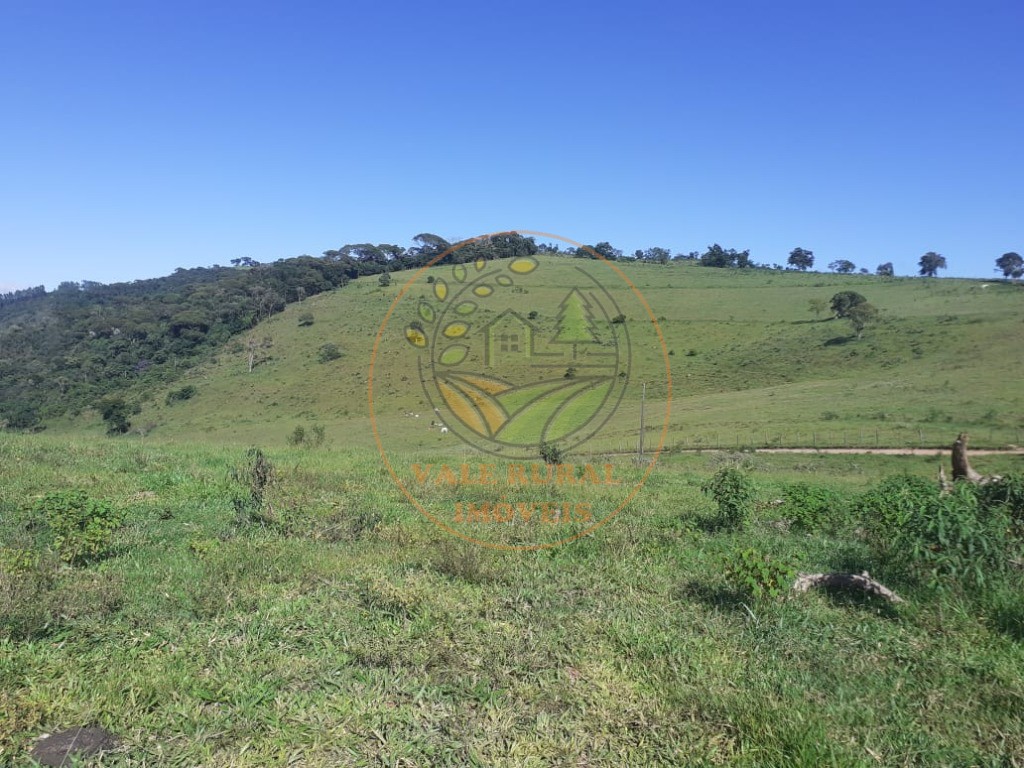 Fazenda - Foto 3