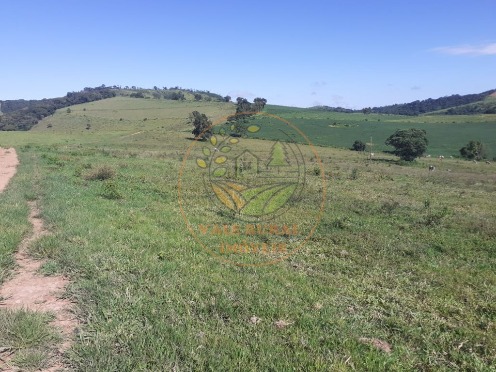Fazenda - Foto 12