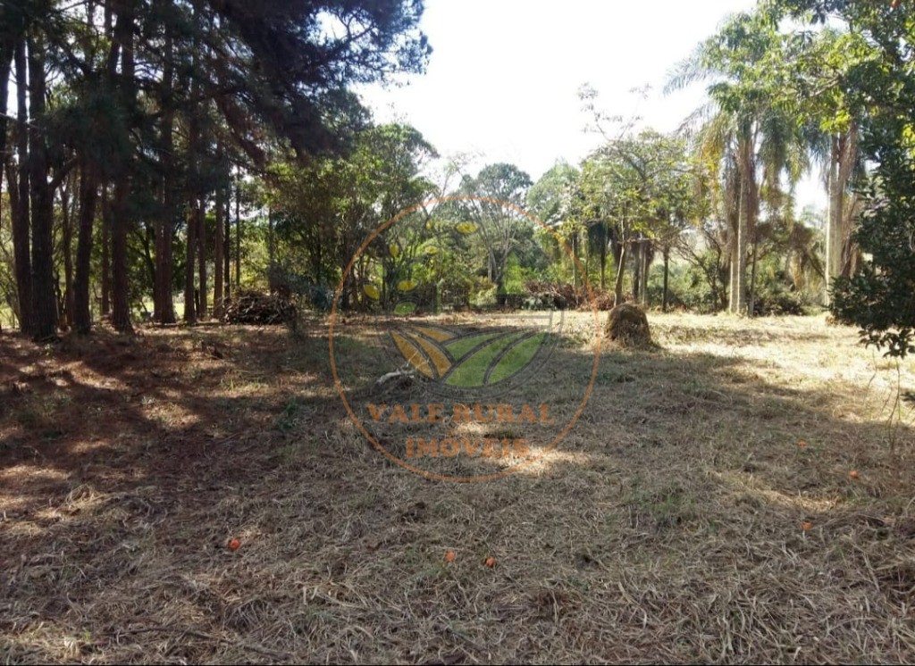 Fazenda - Foto 7
