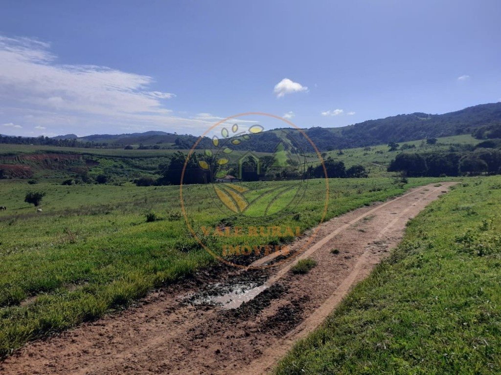 Fazenda - Foto 18