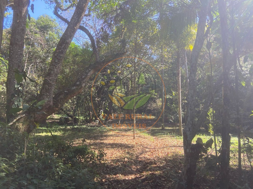 Chácara, 4 quartos - Foto 20