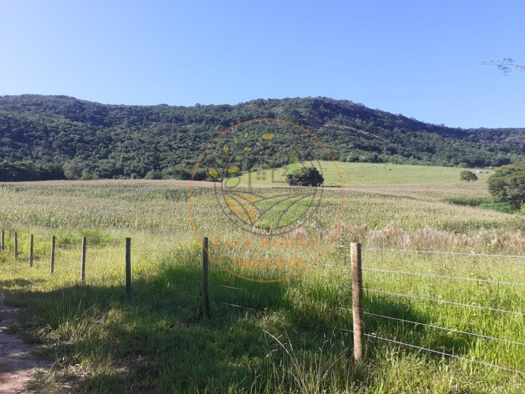 Fazenda - Foto 7