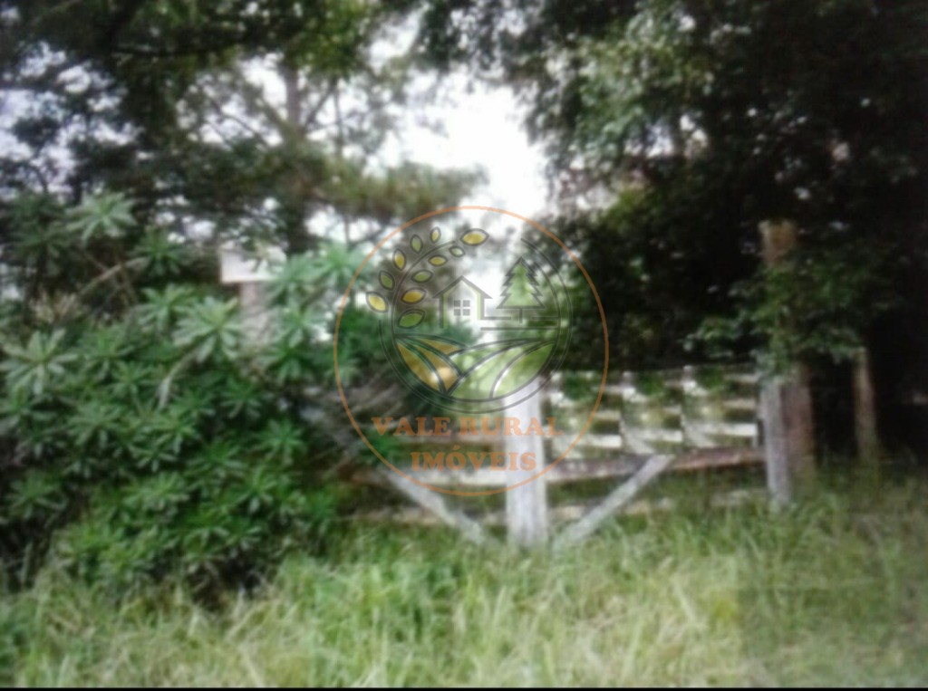 Fazenda - Foto 14