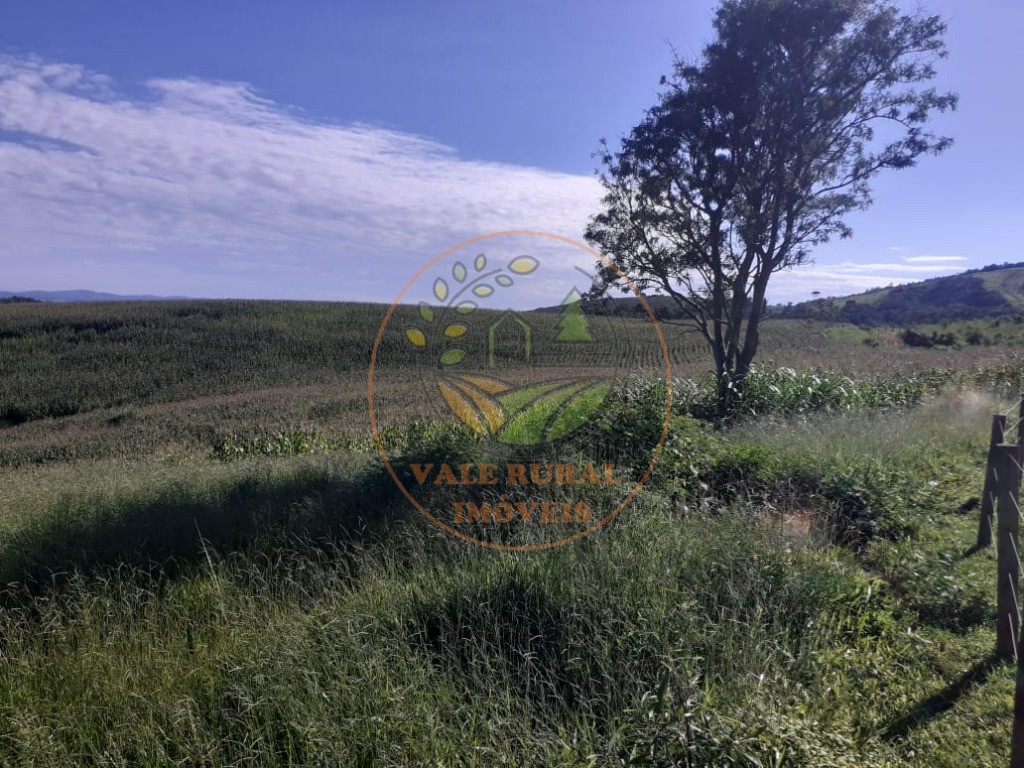 Fazenda - Foto 17