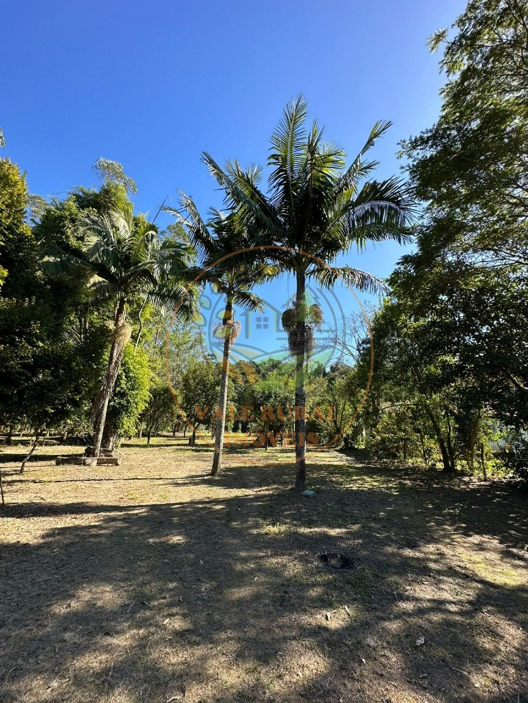 Chácara, 3 quartos, 5000 m² - Foto 10
