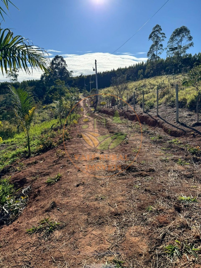 Chácara, 3 quartos - Foto 10
