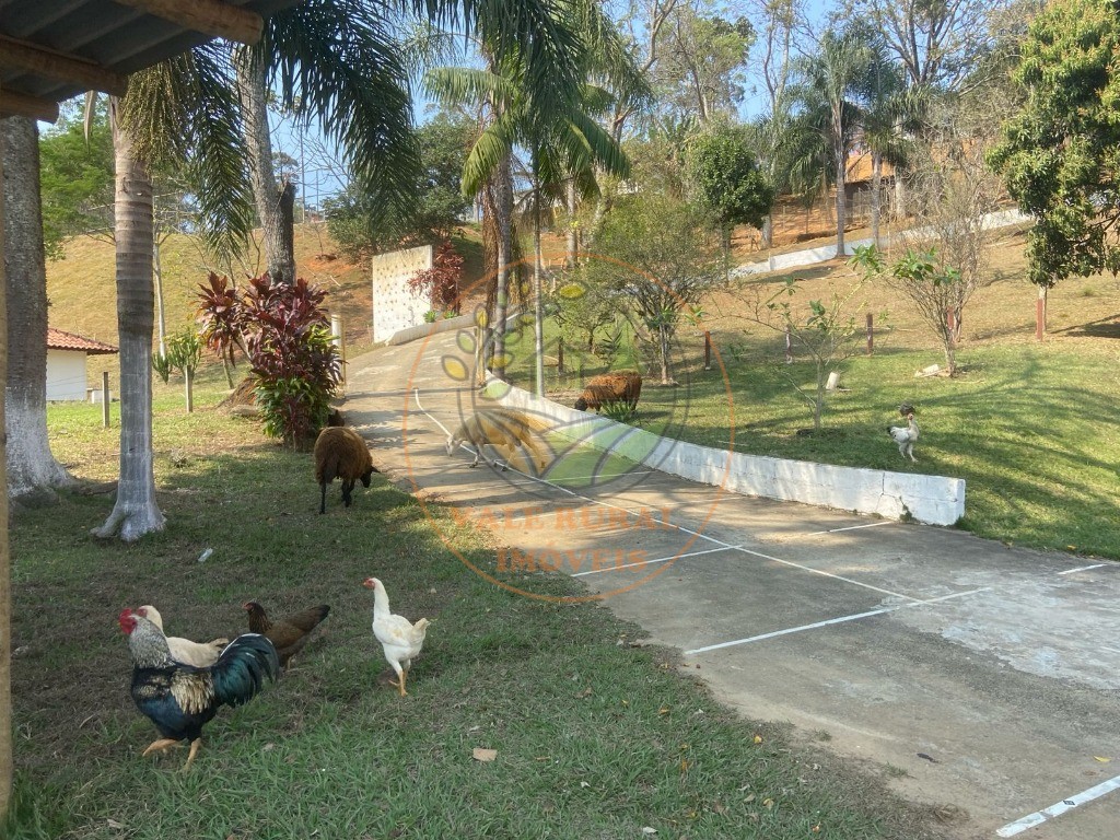 Sítio, 3 quartos, 28800 m² - Foto 17